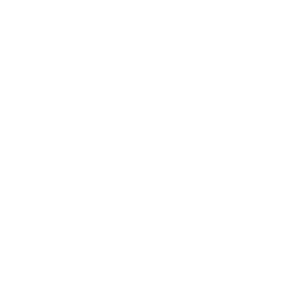 Burning Homes Icon